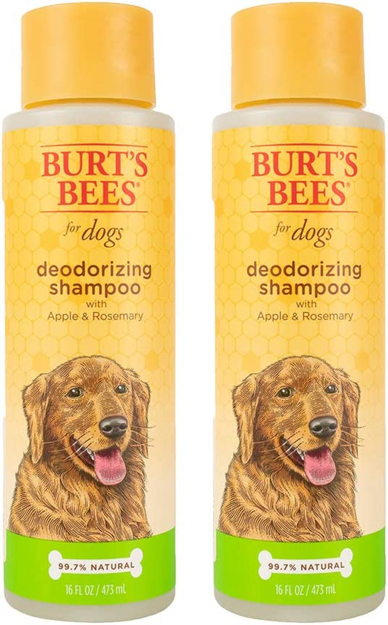 Deodorizing Dog Shampoo with Apple & Rosemary |Dog Shampoo Combats Odors | Cruelty Free, Sulfate & Paraben Free, Ph Balanced for Dogs - Made in USA, 16 Oz - 2 Pack